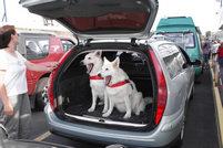 das ist ja so langweilig